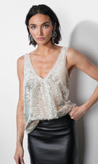 Ivy V-neck Velvet Sequin Top